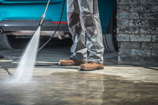 Best Animal Enclosure Cleaning  in Mountain City, GA
