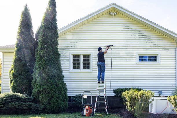 Best Roof Washing  in Mountain City, GA